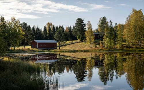 Українці в Фінляндії | © Pexels